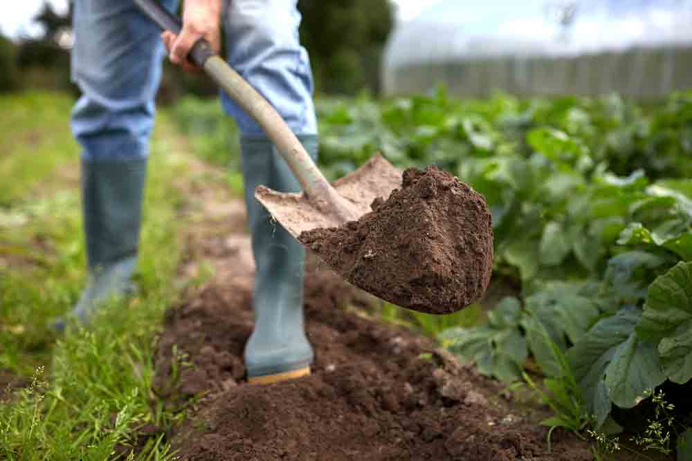 The Future of Biodynamic Agriculture